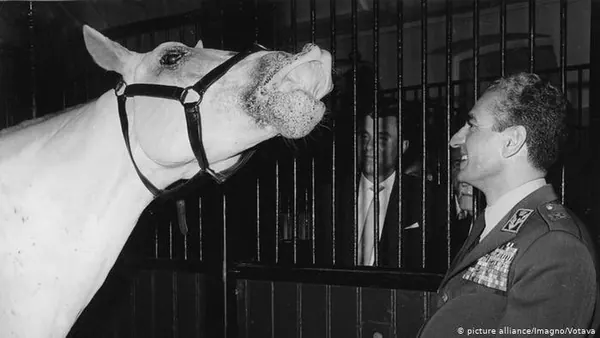 His Majesty, the Shah of Iran in a military uniform smiles at a white horse wearing a bridle inside a stable — a public domain photograph from The Shah of Iran archive documenting the Pahlavi era.